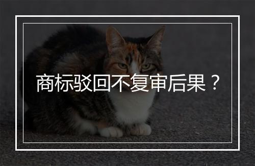 商标驳回不复审后果？