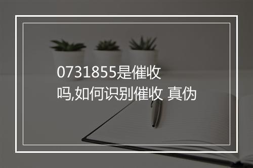 0731855是催收 吗,如何识别催收 真伪