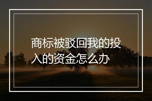 商标被驳回我的投入的资金怎么办