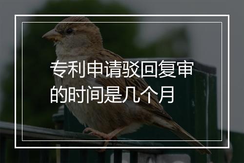 专利申请驳回复审的时间是几个月