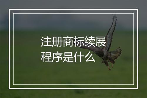 注册商标续展程序是什么