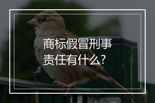 商标假冒刑事责任有什么?