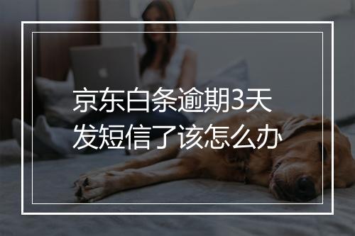 京东白条逾期3天发短信了该怎么办