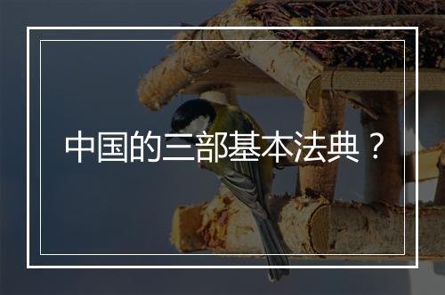中国的三部基本法典？