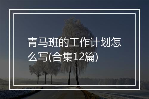 青马班的工作计划怎么写(合集12篇)