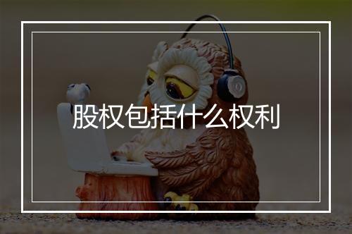 股权包括什么权利