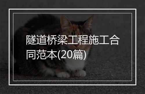 隧道桥梁工程施工合同范本(20篇)