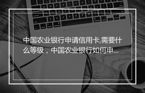 中国农业银行申请信用卡,需要什么等级，中国农业银行如何申请信用卡