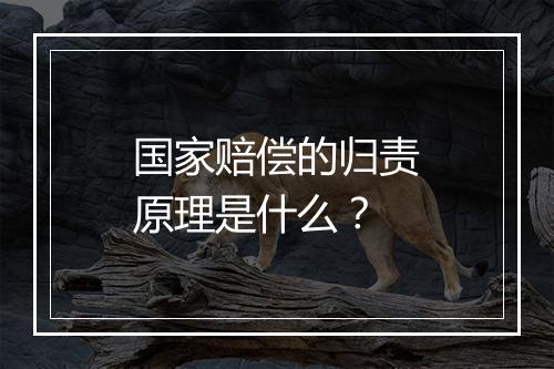国家赔偿的归责原理是什么？