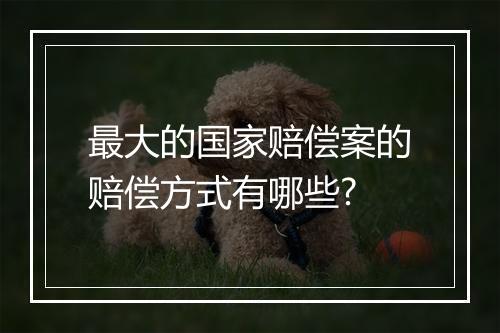 最大的国家赔偿案的赔偿方式有哪些?