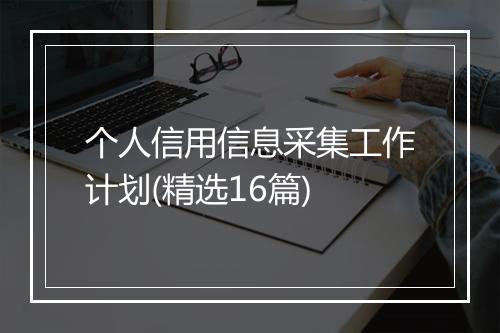 个人信用信息采集工作计划(精选16篇)