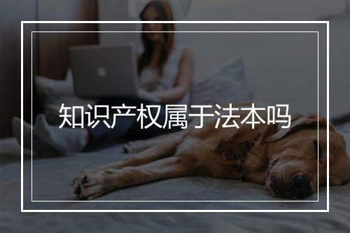 知识产权属于法本吗