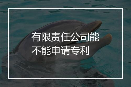 有限责任公司能不能申请专利