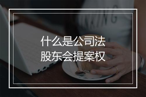什么是公司法股东会提案权