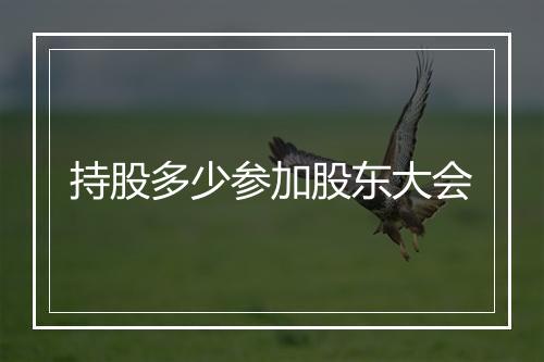 持股多少参加股东大会