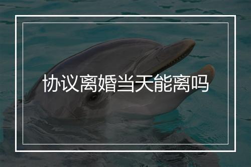 协议离婚当天能离吗