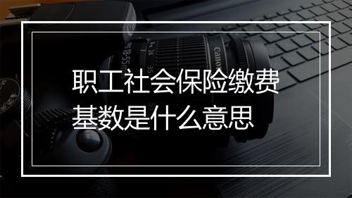 职工社会保险缴费基数是什么意思