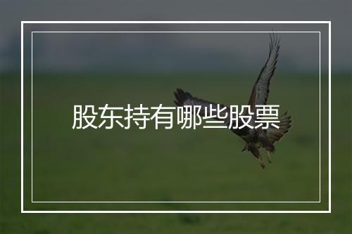 股东持有哪些股票