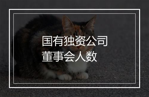 国有独资公司董事会人数