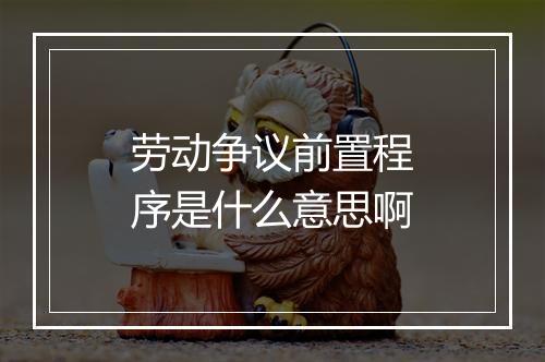 劳动争议前置程序是什么意思啊