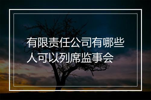 有限责任公司有哪些人可以列席监事会