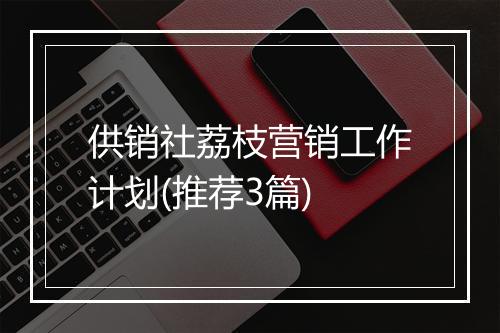 供销社荔枝营销工作计划(推荐3篇)