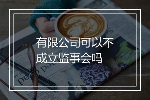 有限公司可以不成立监事会吗