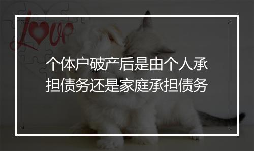 个体户破产后是由个人承担债务还是家庭承担债务