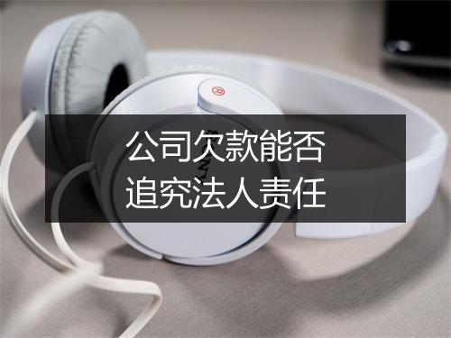 公司欠款能否追究法人责任
