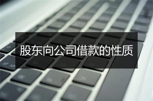 股东向公司借款的性质
