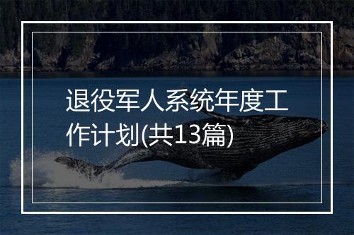退役军人系统年度工作计划(共13篇)