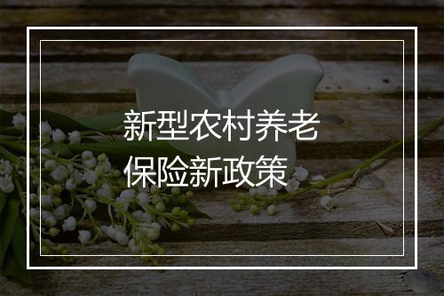 新型农村养老保险新政策