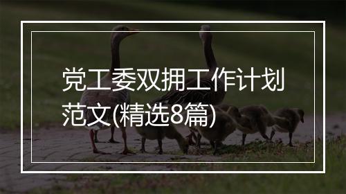 党工委双拥工作计划范文(精选8篇)