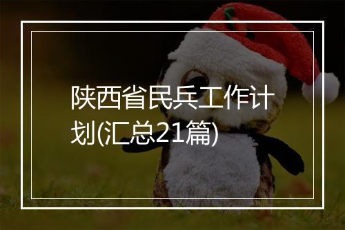 陕西省民兵工作计划(汇总21篇)