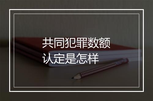共同犯罪数额认定是怎样