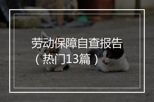 劳动保障自查报告（热门13篇）
