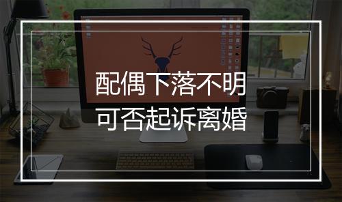 配偶下落不明可否起诉离婚