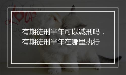 有期徒刑半年可以减刑吗，有期徒刑半年在哪里执行
