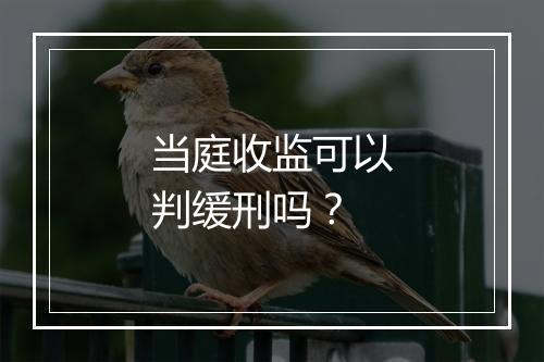 当庭收监可以判缓刑吗？