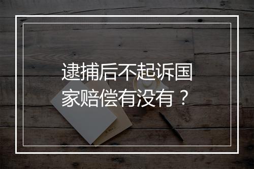 逮捕后不起诉国家赔偿有没有？