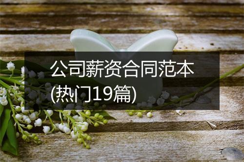 公司薪资合同范本(热门19篇)
