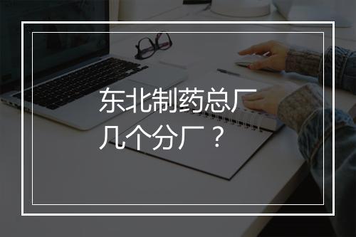 东北制药总厂几个分厂？