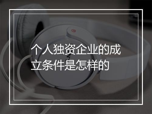 个人独资企业的成立条件是怎样的