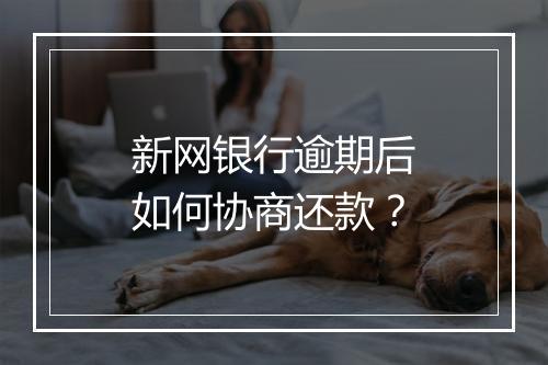 新网银行逾期后如何协商还款？