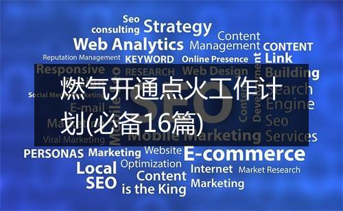 燃气开通点火工作计划(必备16篇)