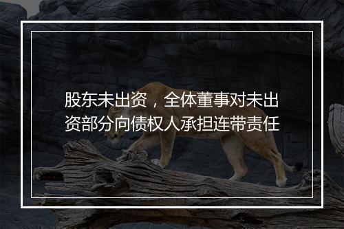 股东未出资，全体董事对未出资部分向债权人承担连带责任