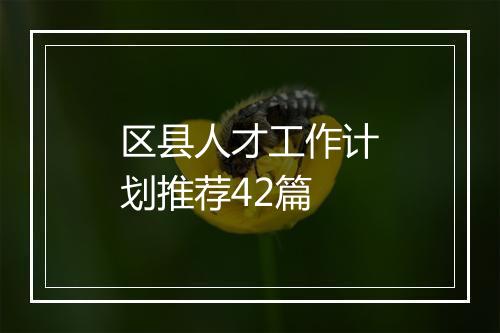 区县人才工作计划推荐42篇