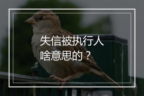 失信被执行人啥意思的？