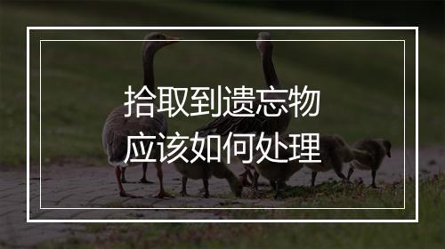 拾取到遗忘物应该如何处理