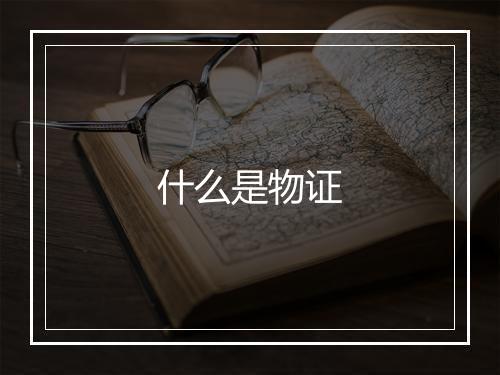 什么是物证